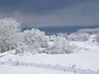 Bild Winterblick